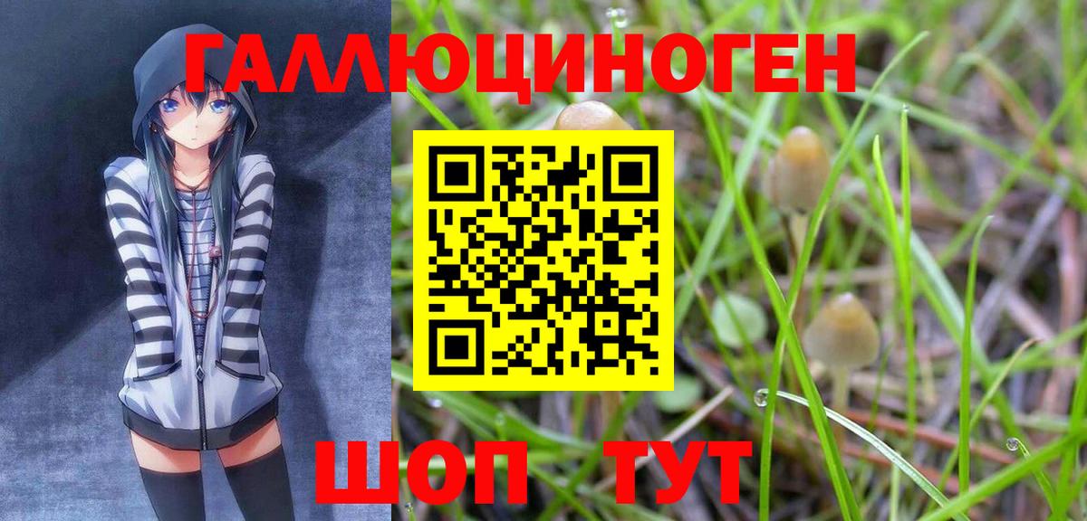 Псилоцибиновые грибы GOLDEN TEACHER Кубинка